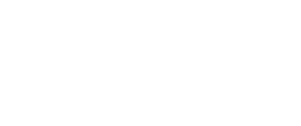 Vuzix